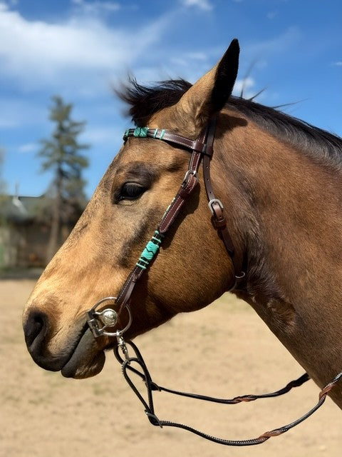 Turquoise Rawhide Dark Leather Browband Headstall