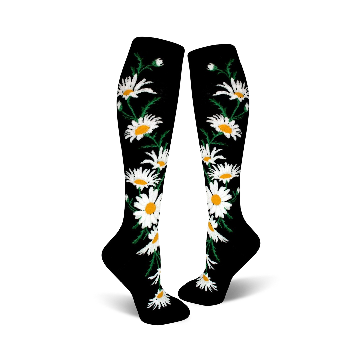 Crazy For Daisies