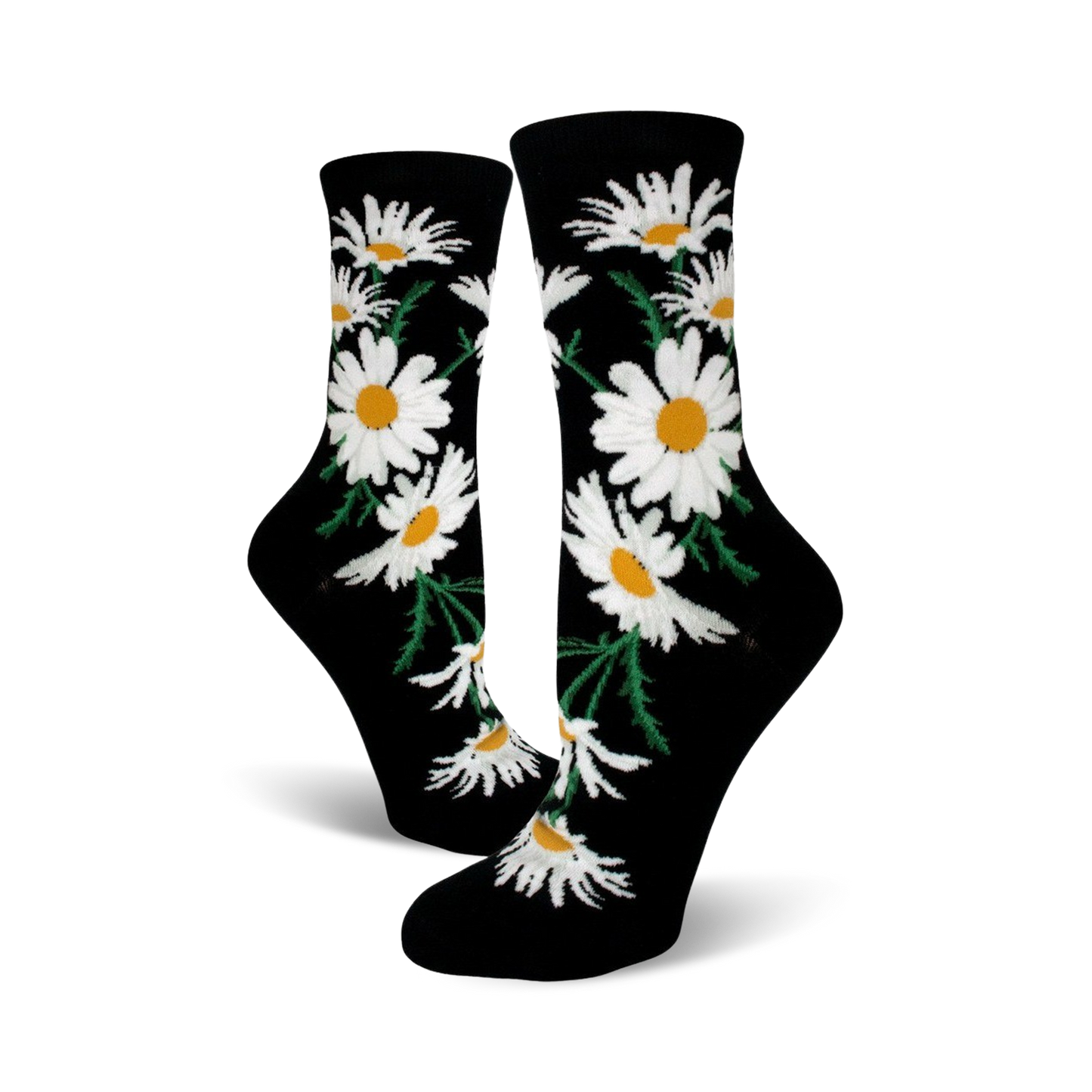 Crazy for Daisies