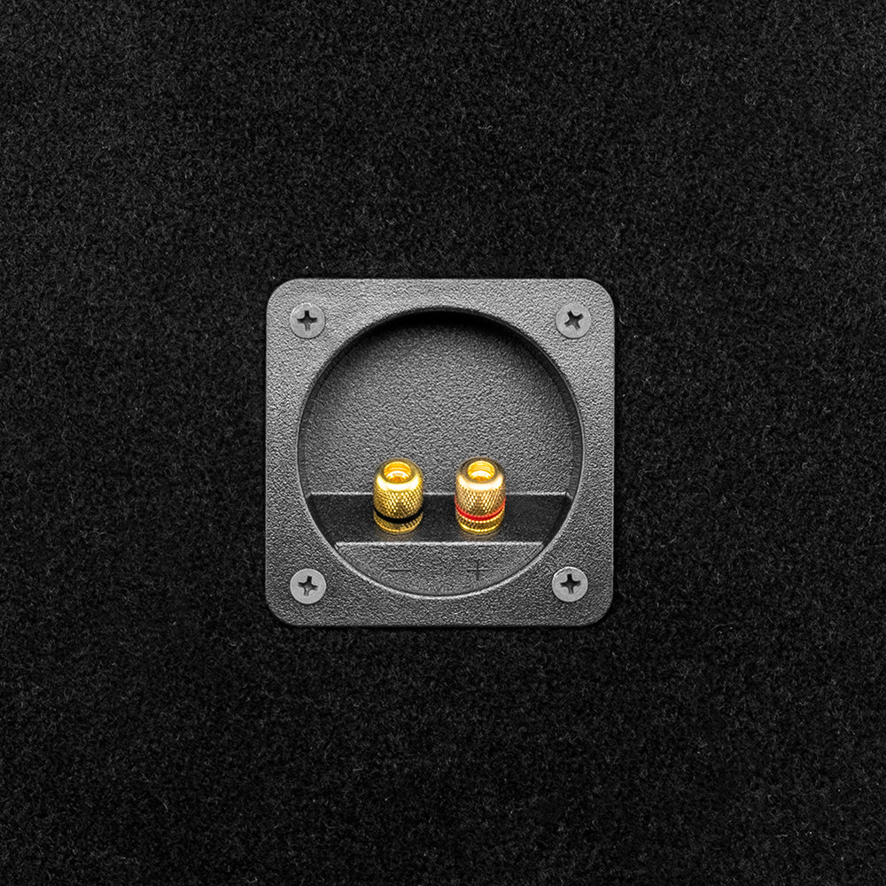 PANCADAO Ported Box with 2 X 10" Mid-Bass PRO-1.5KP10.4 Loaded