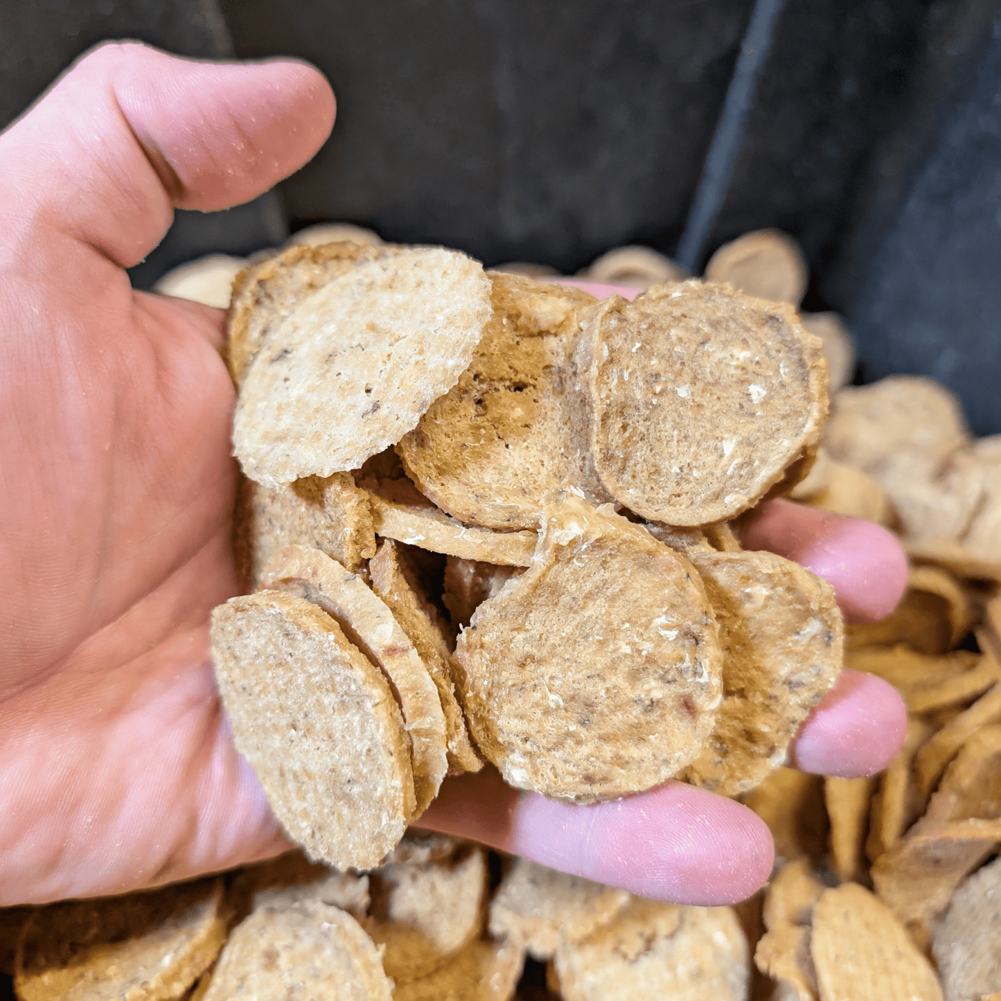 Fish Chips for Dogs | Wild-Caught Fish Dog Treats