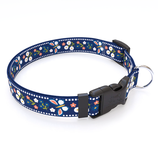 Festive Butterfly Blue Dog Collar