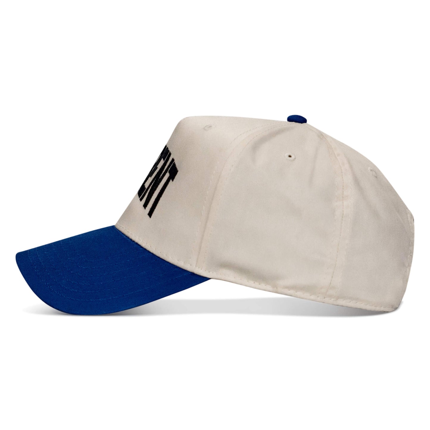 Hellbent Arched Classic Snapback Hat
