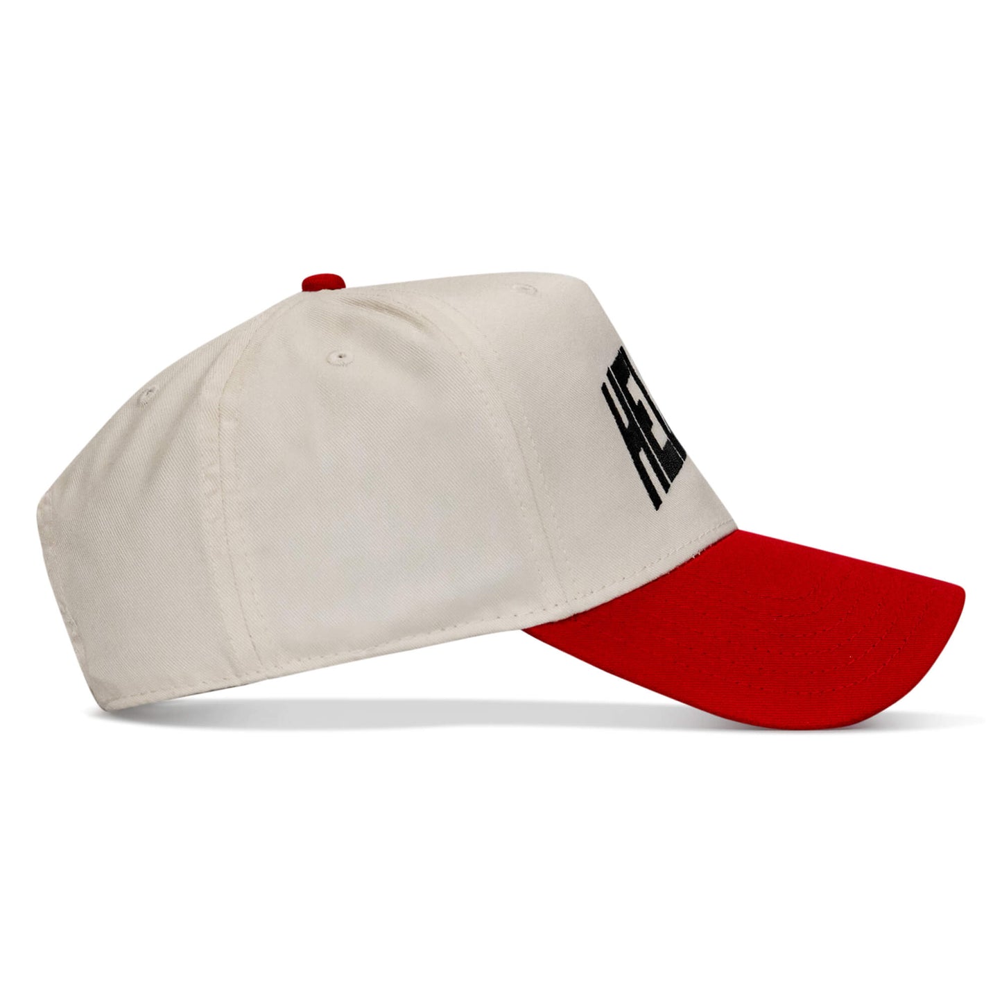 Hellbent Arched Classic Snapback Hat