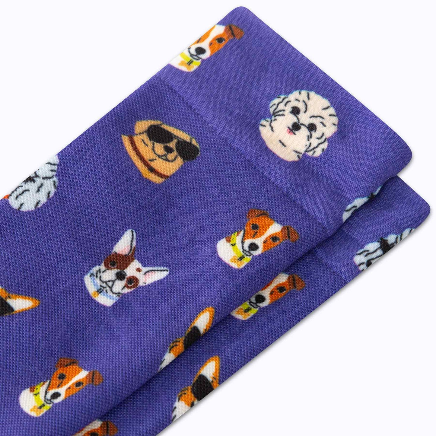 Cute Compression Socks – Dog