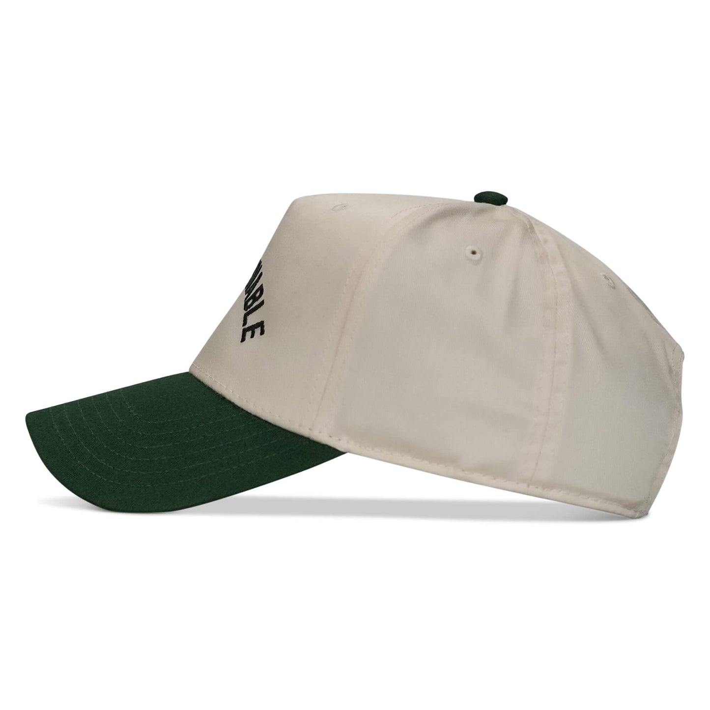 Ungovernable Arched Classic Snapback