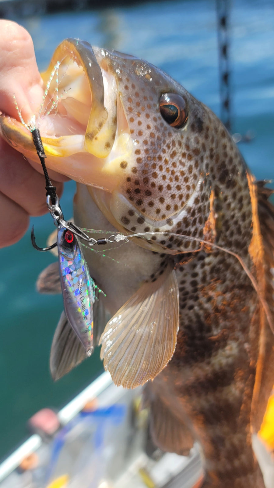 Submission Jigs - Micro Sumo and Mercenary - Slow Pitch Jigs - 2 packs