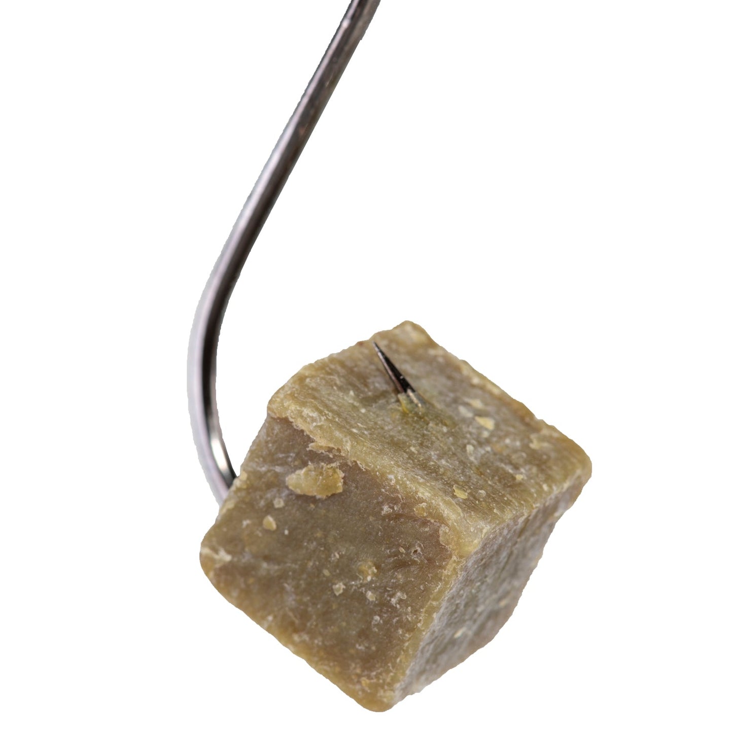 Catalpa Worm Catfish Bait