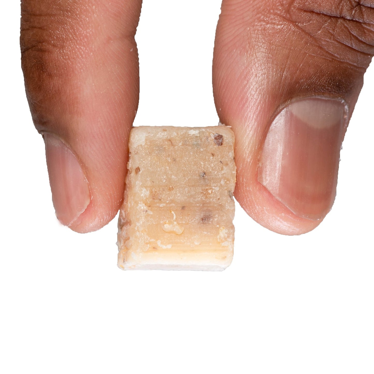 Grasshopper Catfish Bait