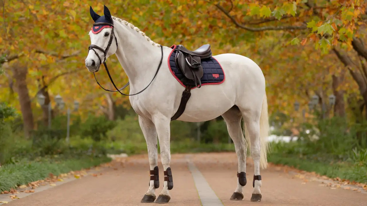 LeMieux Loire Classic Close Contact Square