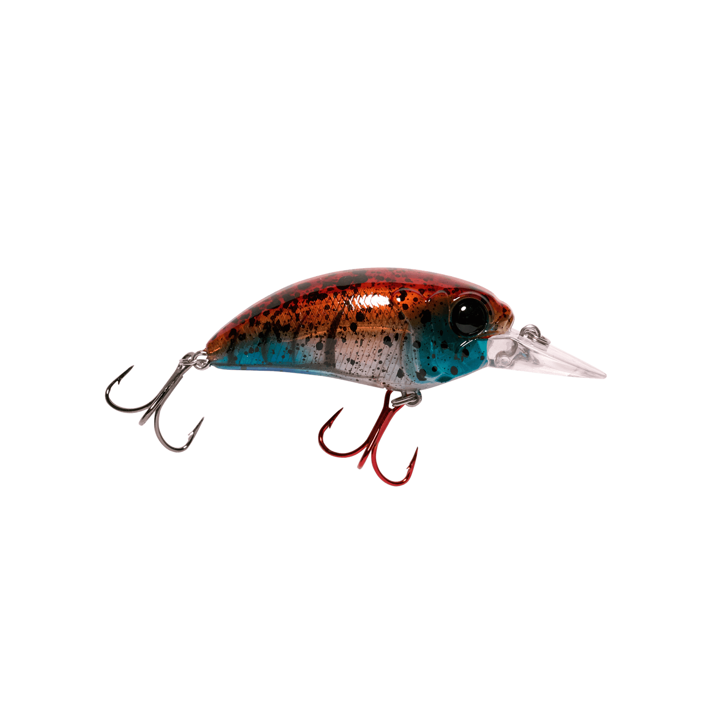 Seeker 6