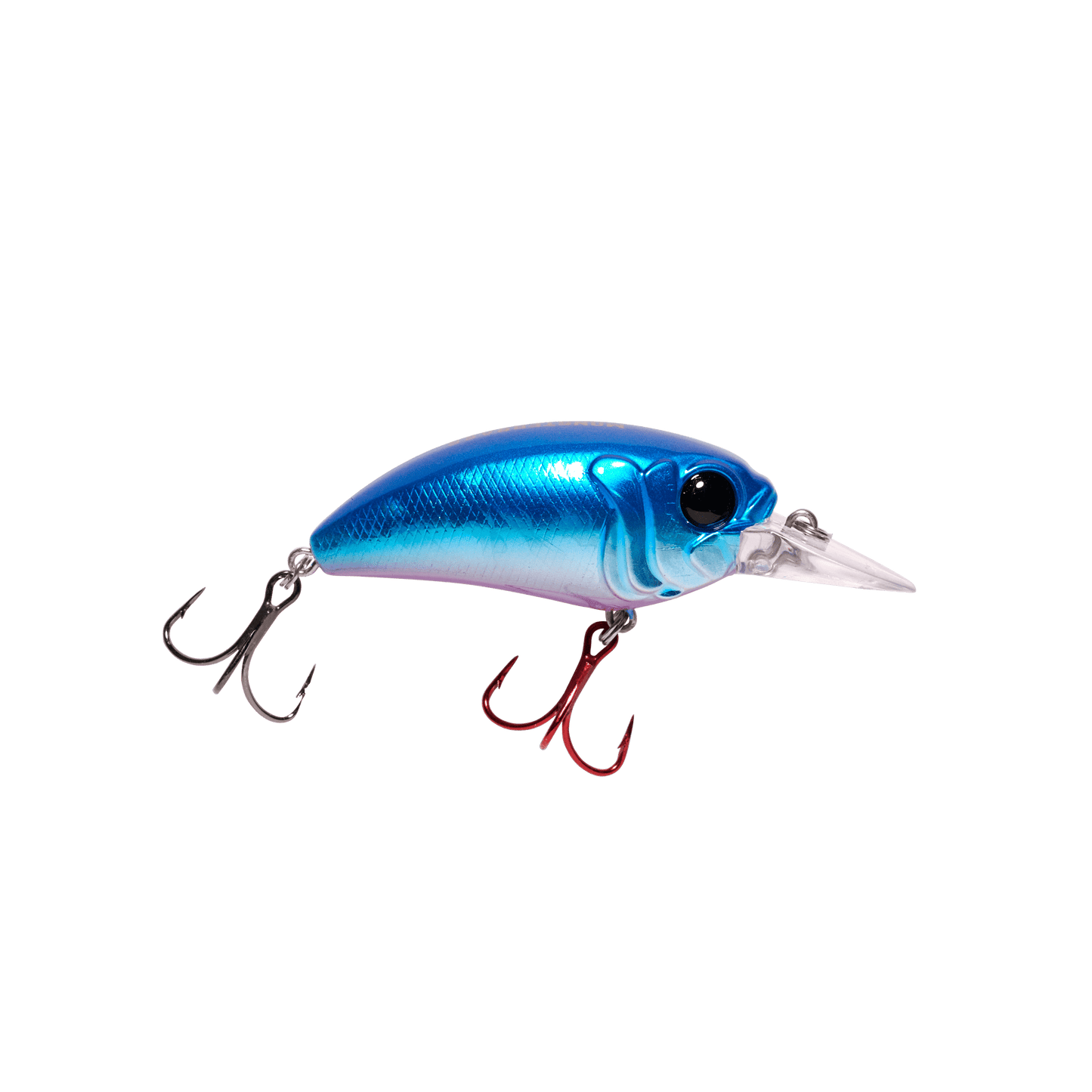 Seeker 6