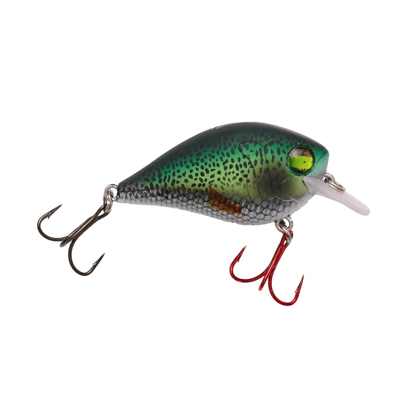 Little Banger