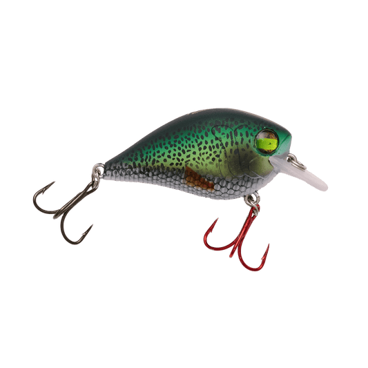 Little Banger