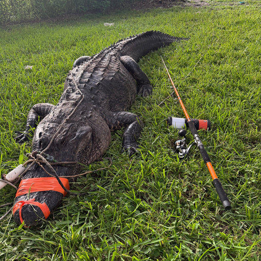 Tournament Series Spinning Rod