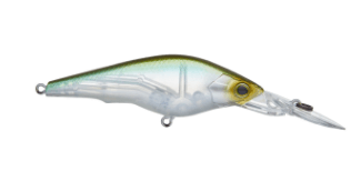 Hardcore Shad