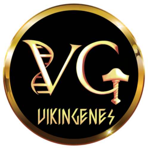 Vikingenes ™