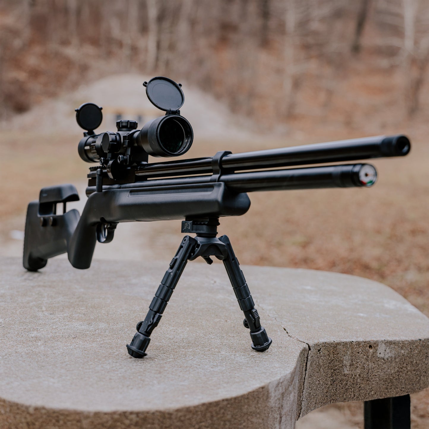 1100z .22 Gen 2 - Black