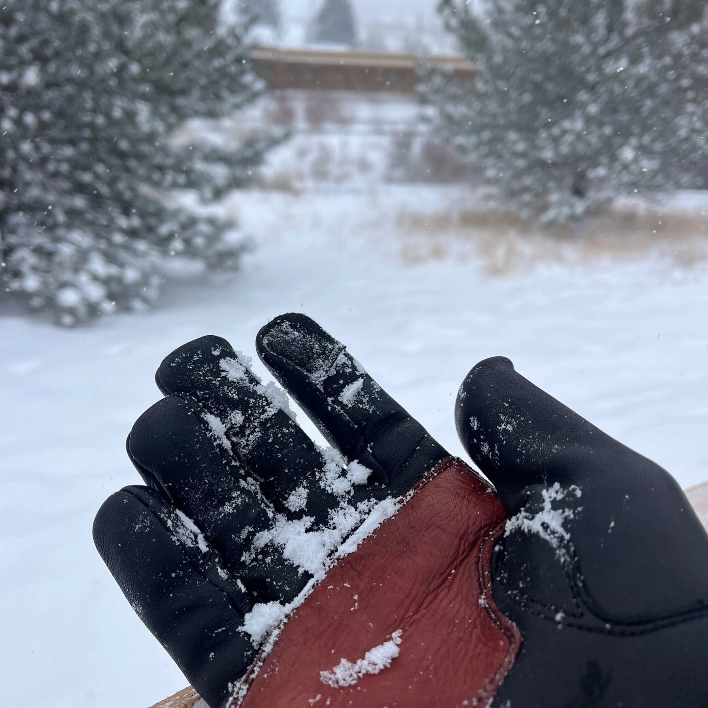 Deerskin Leather Glove: Easy Rider Motorcycle: Black/Brown