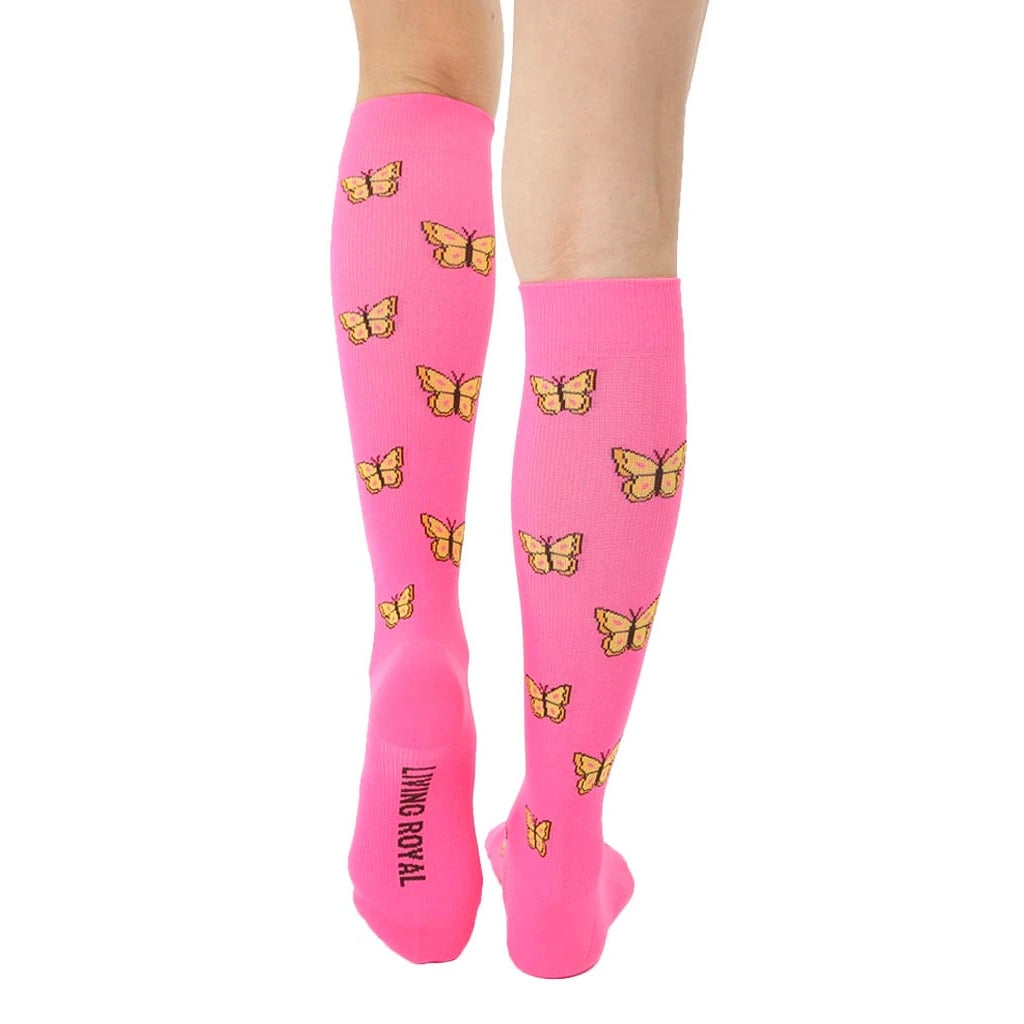 Butterfly Compression