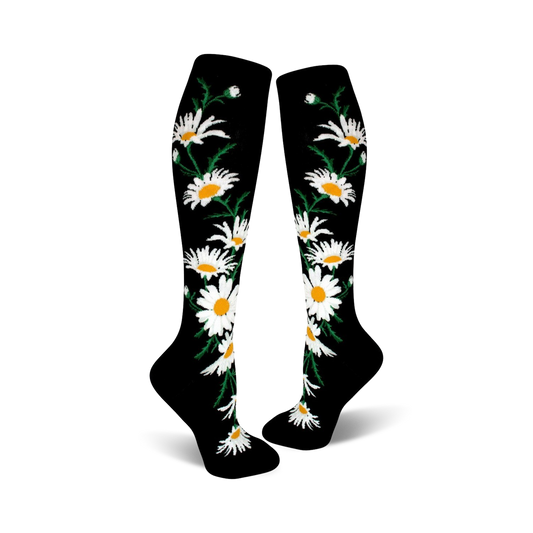 Crazy For Daisies