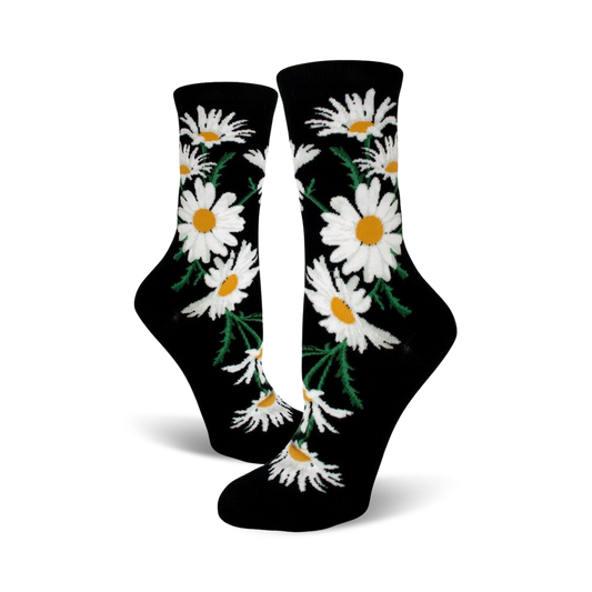Crazy for Daisies