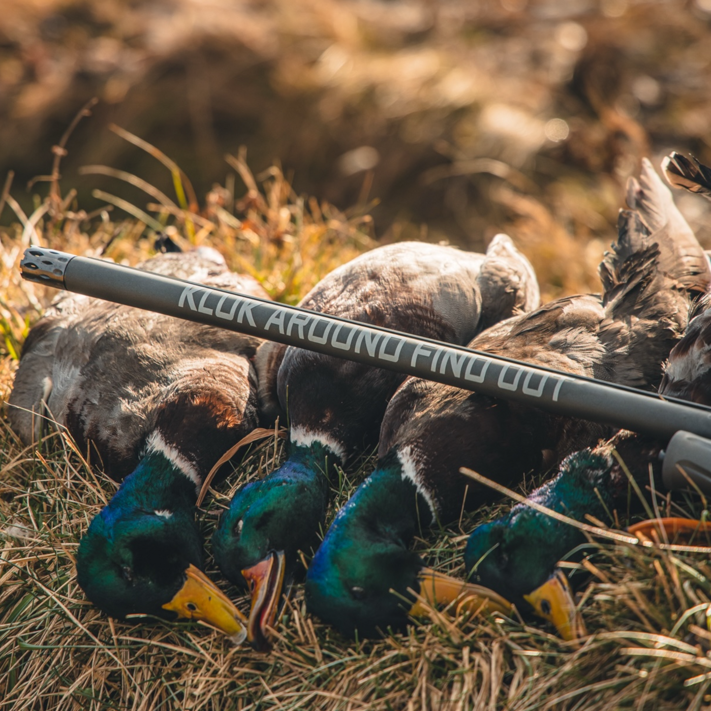 KLUK AROUND FIND OUT DECAL