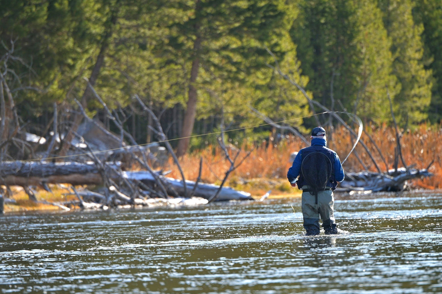 Tungsten Bead Gasolina Perdigon Tactical Jig Czech Euro Nymph Spanish Nymphing Fly - 1 Dozen Flies Size 18