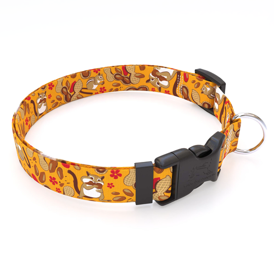Chipmunks Dog Collar