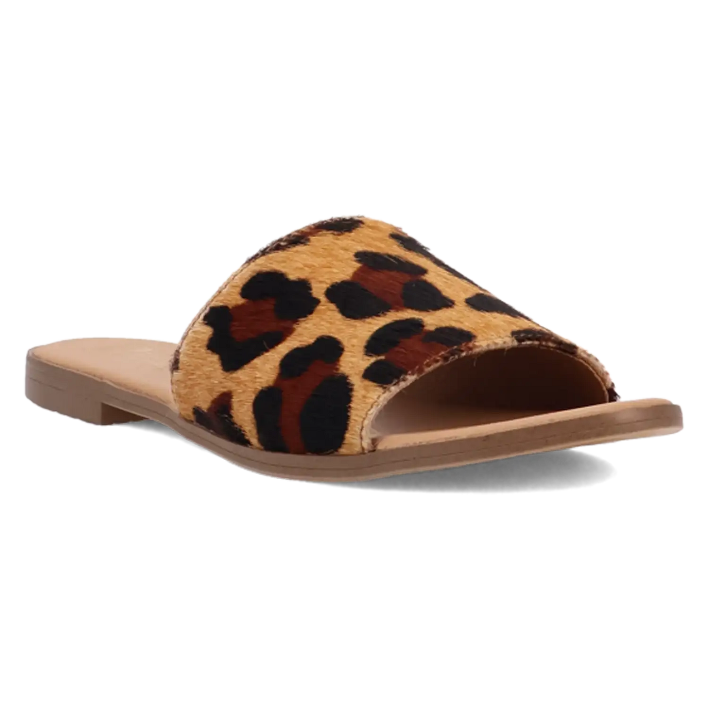 Dingo Tabby - Women's Sandals