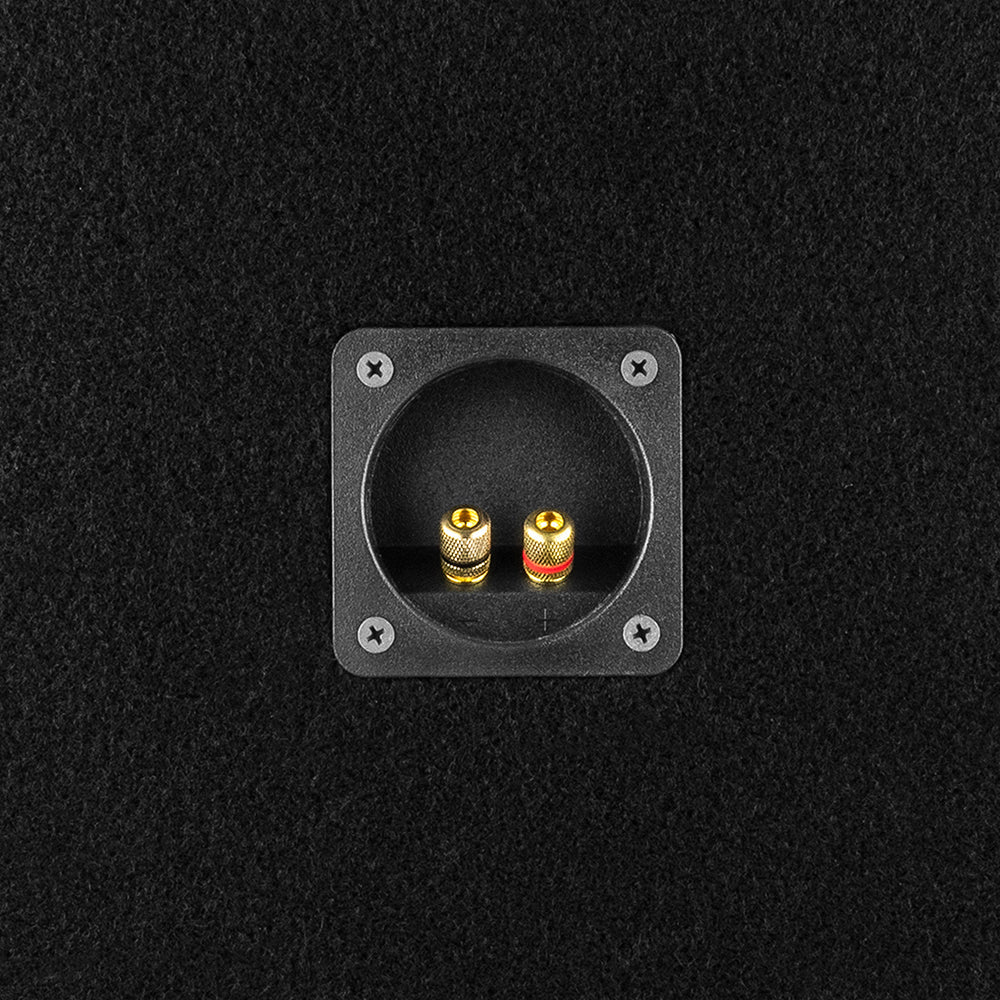 PANCADAO Ported box with 2 X 12" Mid-Bass PRO-1.5KP12.2 Loaded