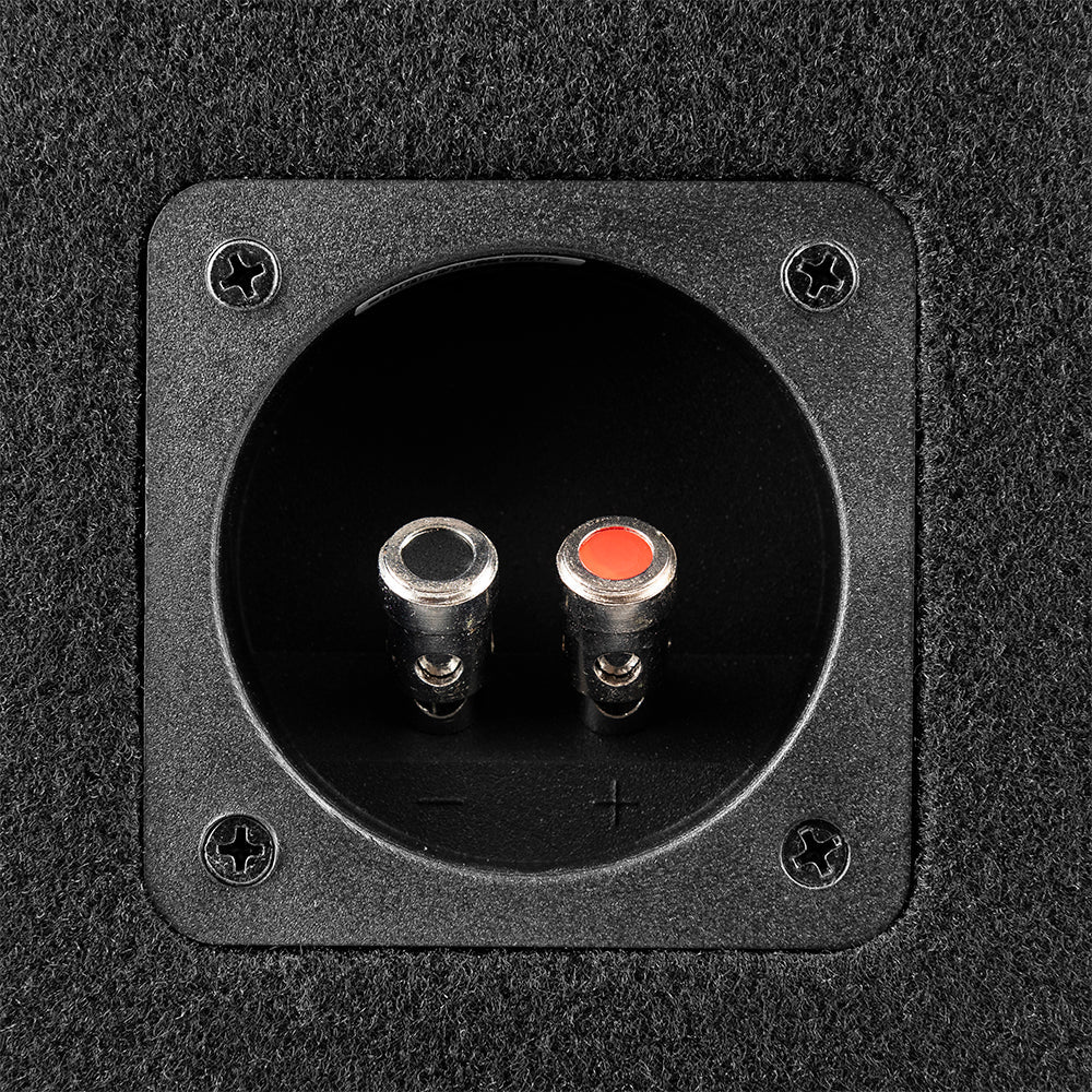 GEN-X210LD Bass Package 2 x GEN-X104D 10" Subwoofers In a Ported Box 1600 Watts