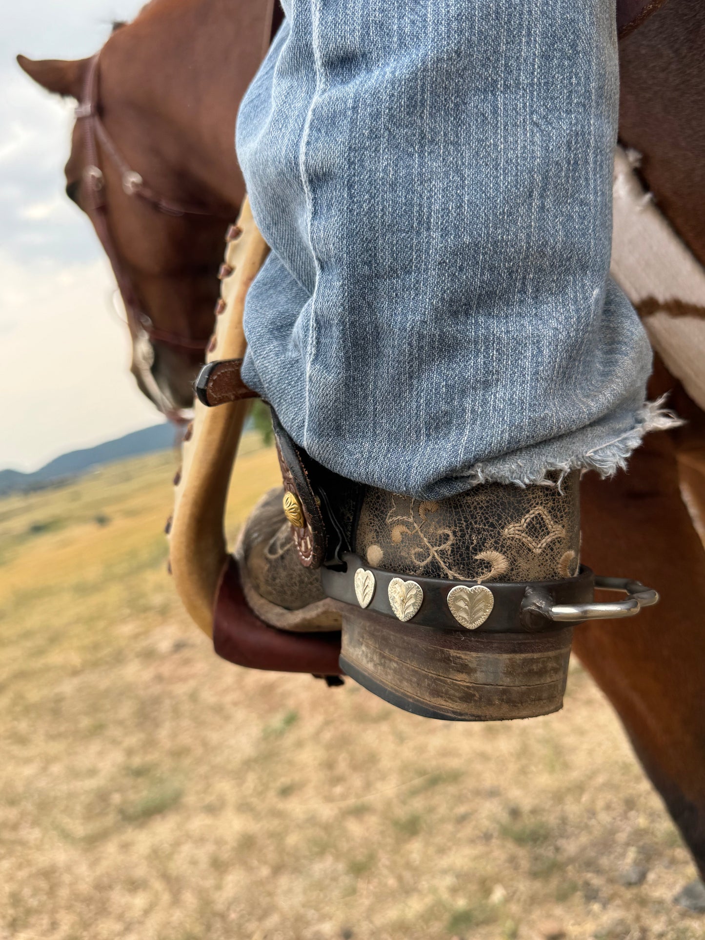 Flying Heart Bumper Spurs