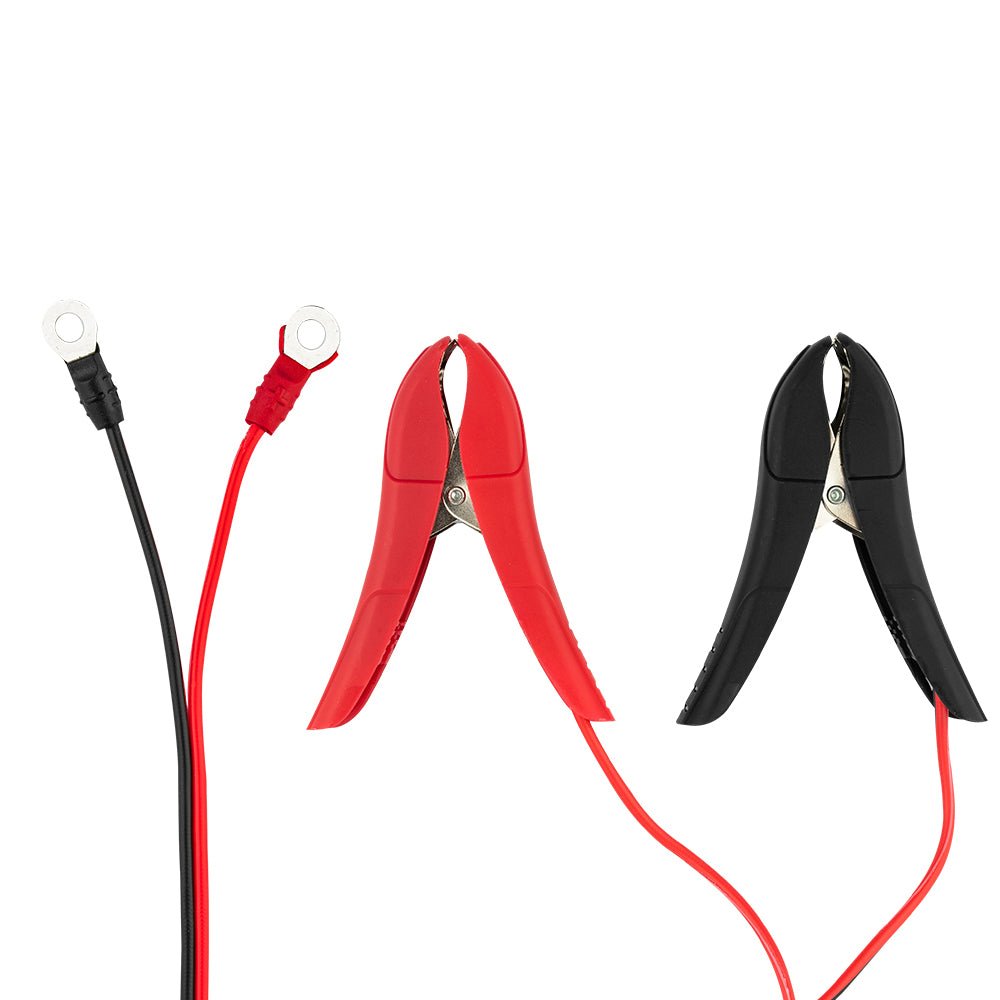 6 AMP Automatic Smart Lithium and AGM Car Battery Charger & Maintainer