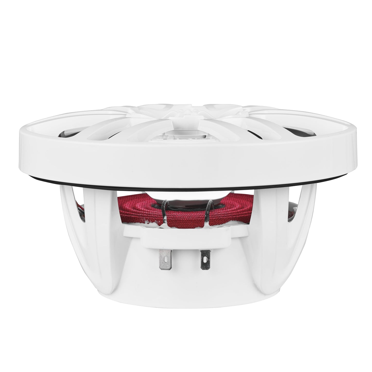 NXL 6.5" 2-Way Coaxial Marine Speaker With LED RGB Lights | 100W RMS 4-Ohm