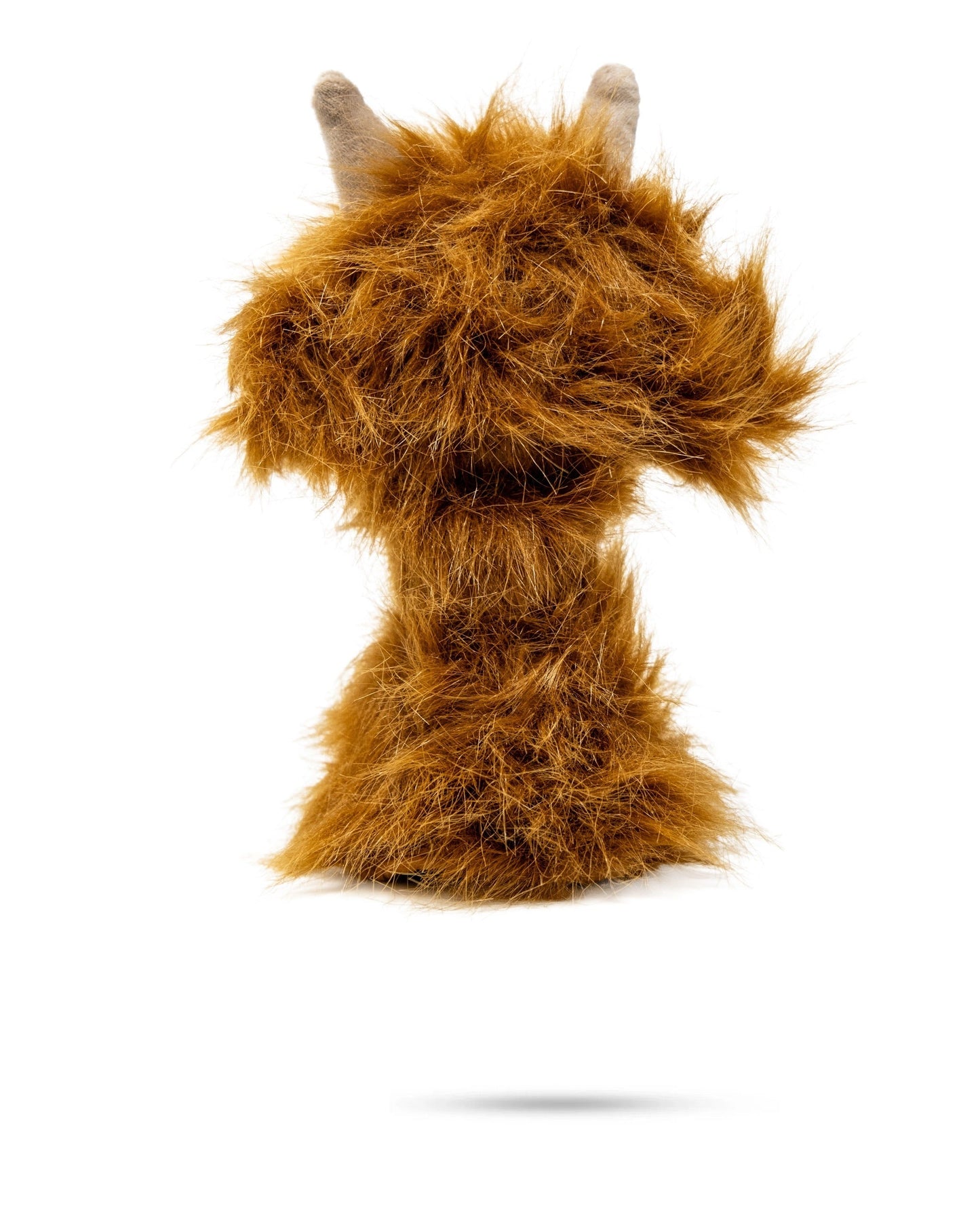 Highland Cow - Hybrid Cover