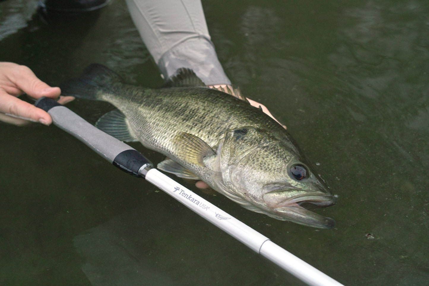 HANE™  10ft10in (330cm)