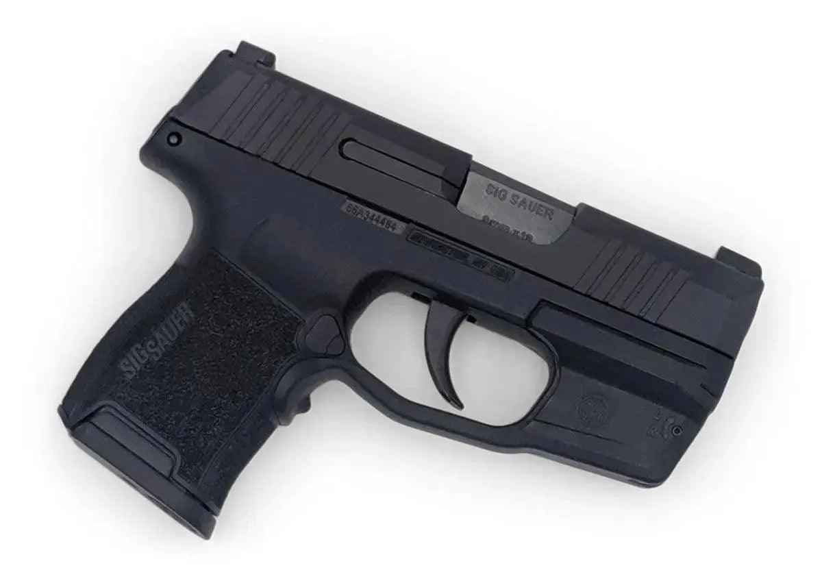 Sig Sauer P365 Lima Paddle Holster