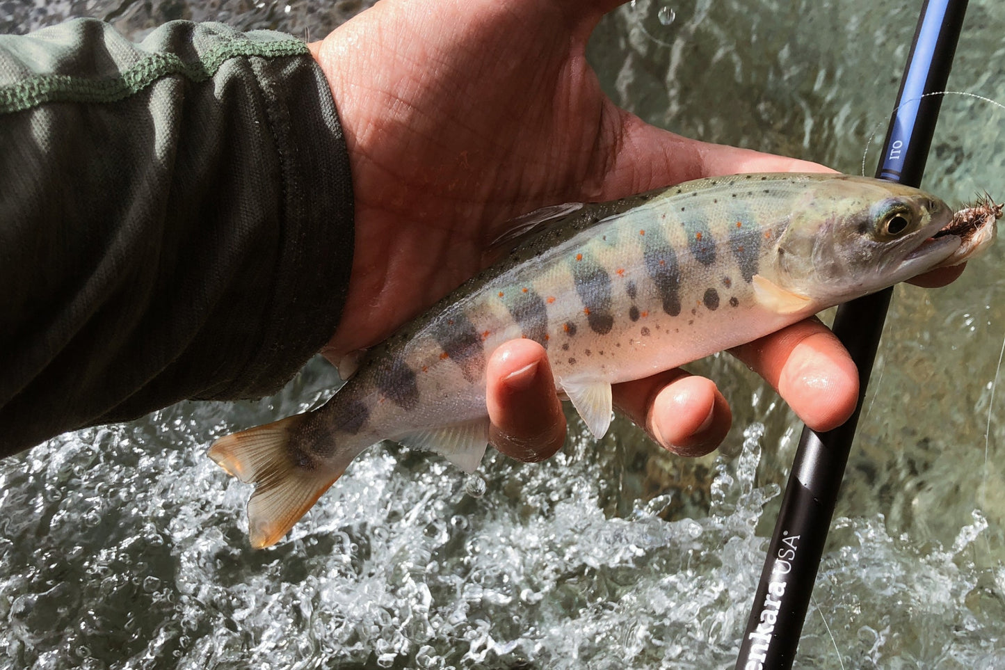 ITO™ 13' / 14'7" (adjustable)