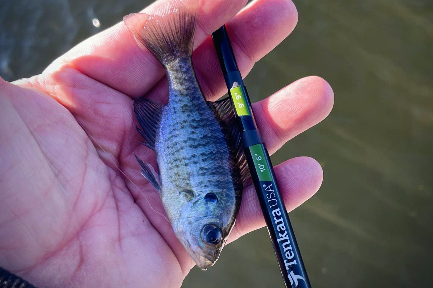 RHODO™ 8'10"/9'9"/10'6" (adjustable)