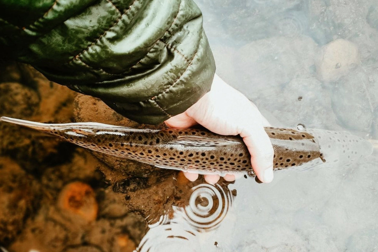 SATO™ 10'8"/ 11'10"/ 12'9" (adjustable)