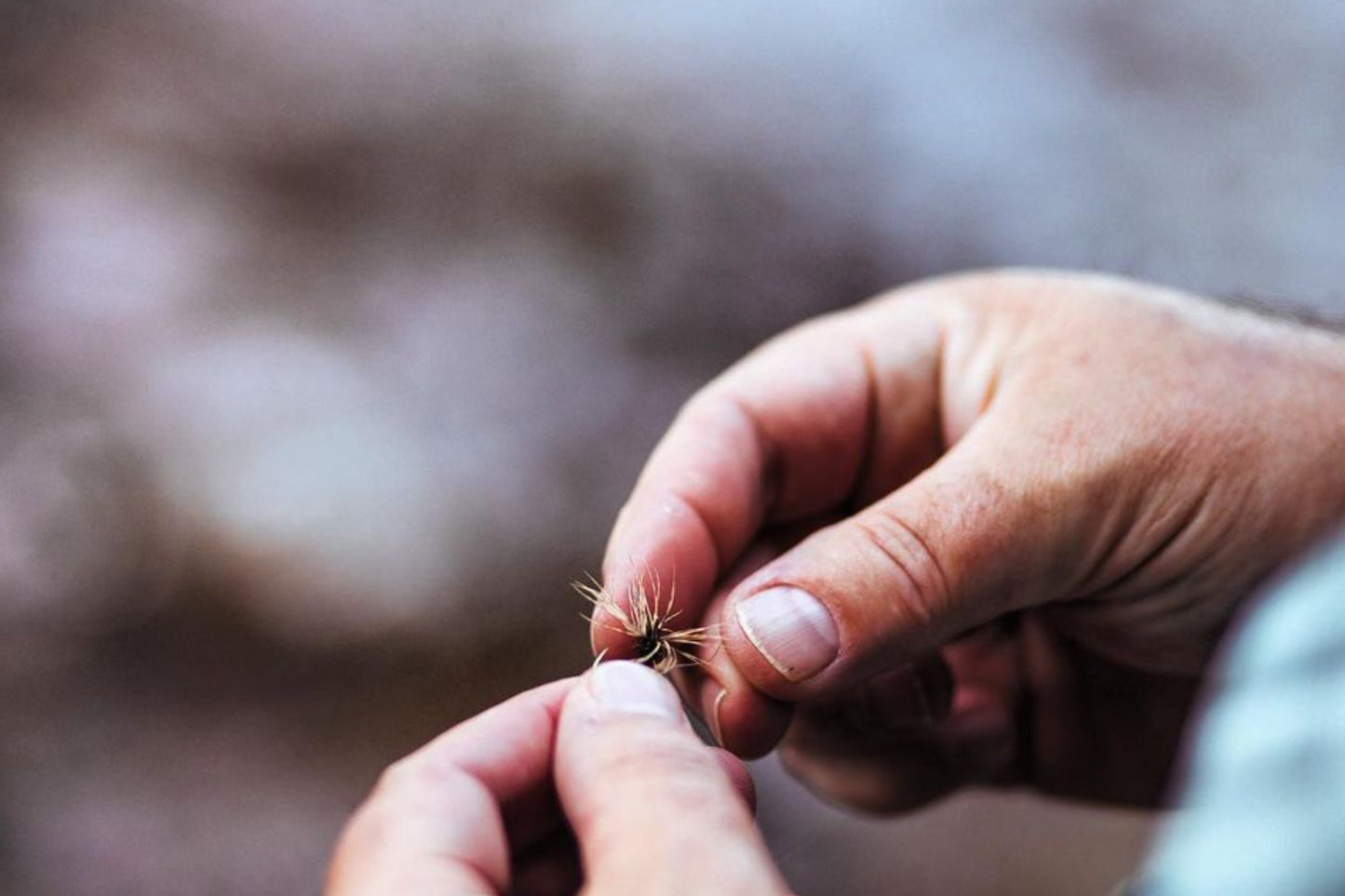 Takayama 6-Pack Retail (Dealer only)