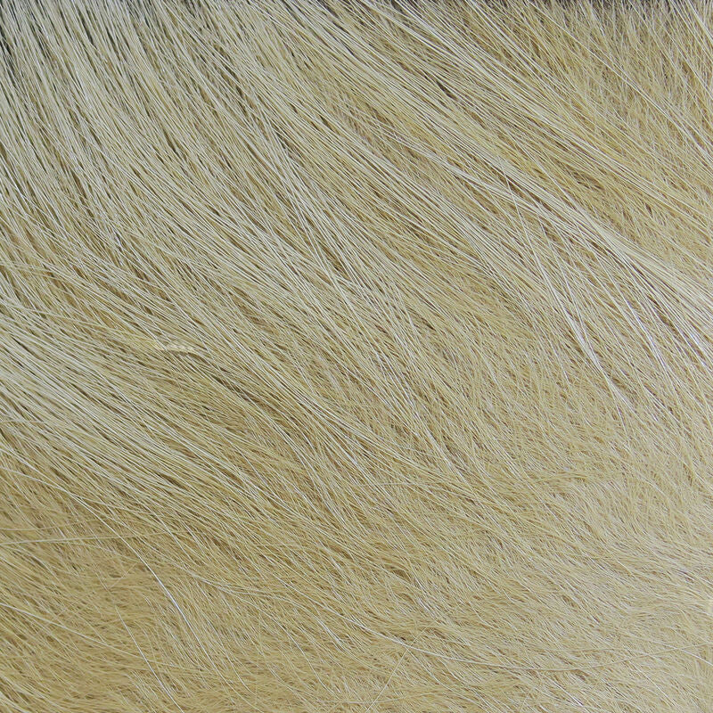 Arctic Fox Tail Hair
