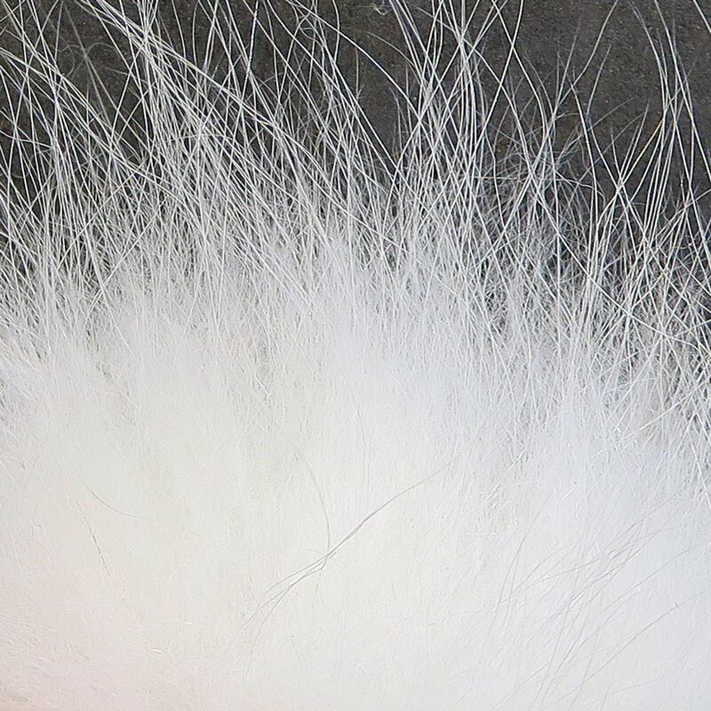 Arctic Fox Tail Hair