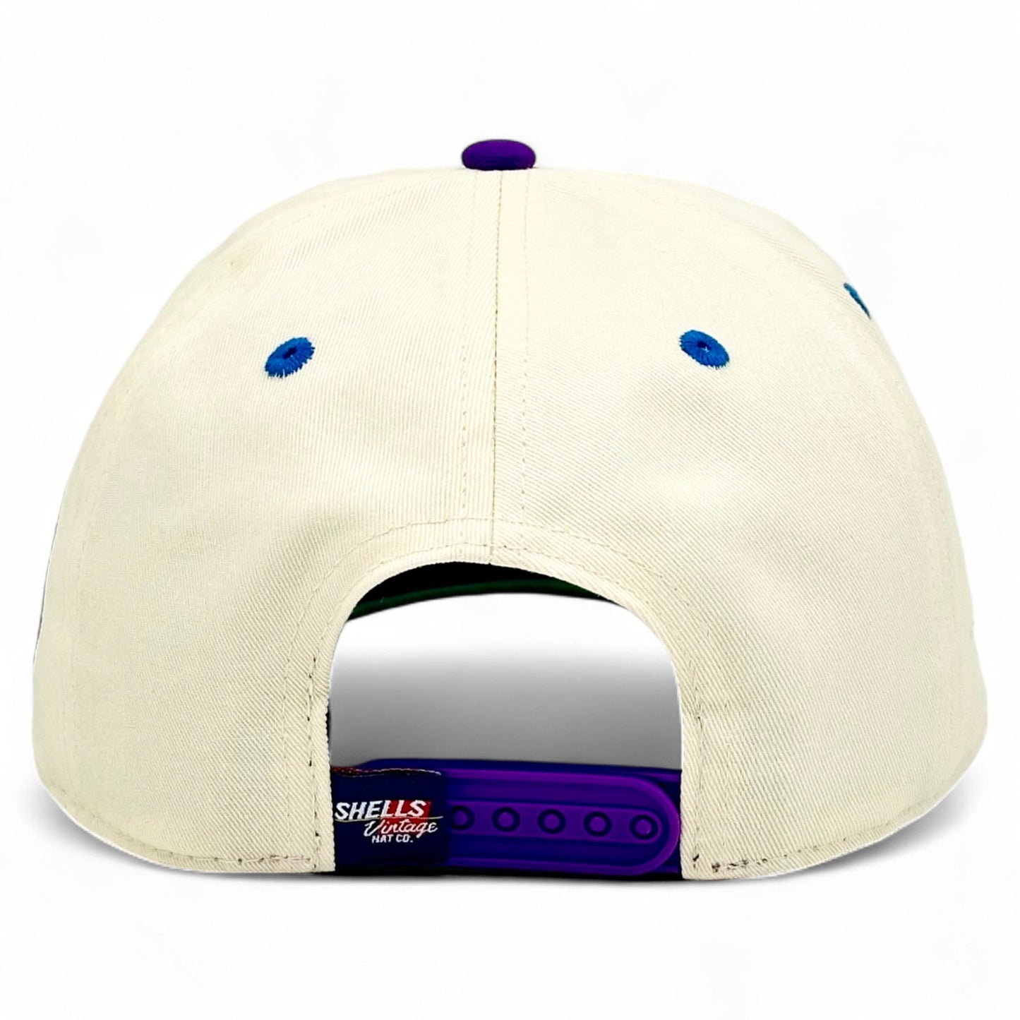 Charlotte Snapback - The Hornet