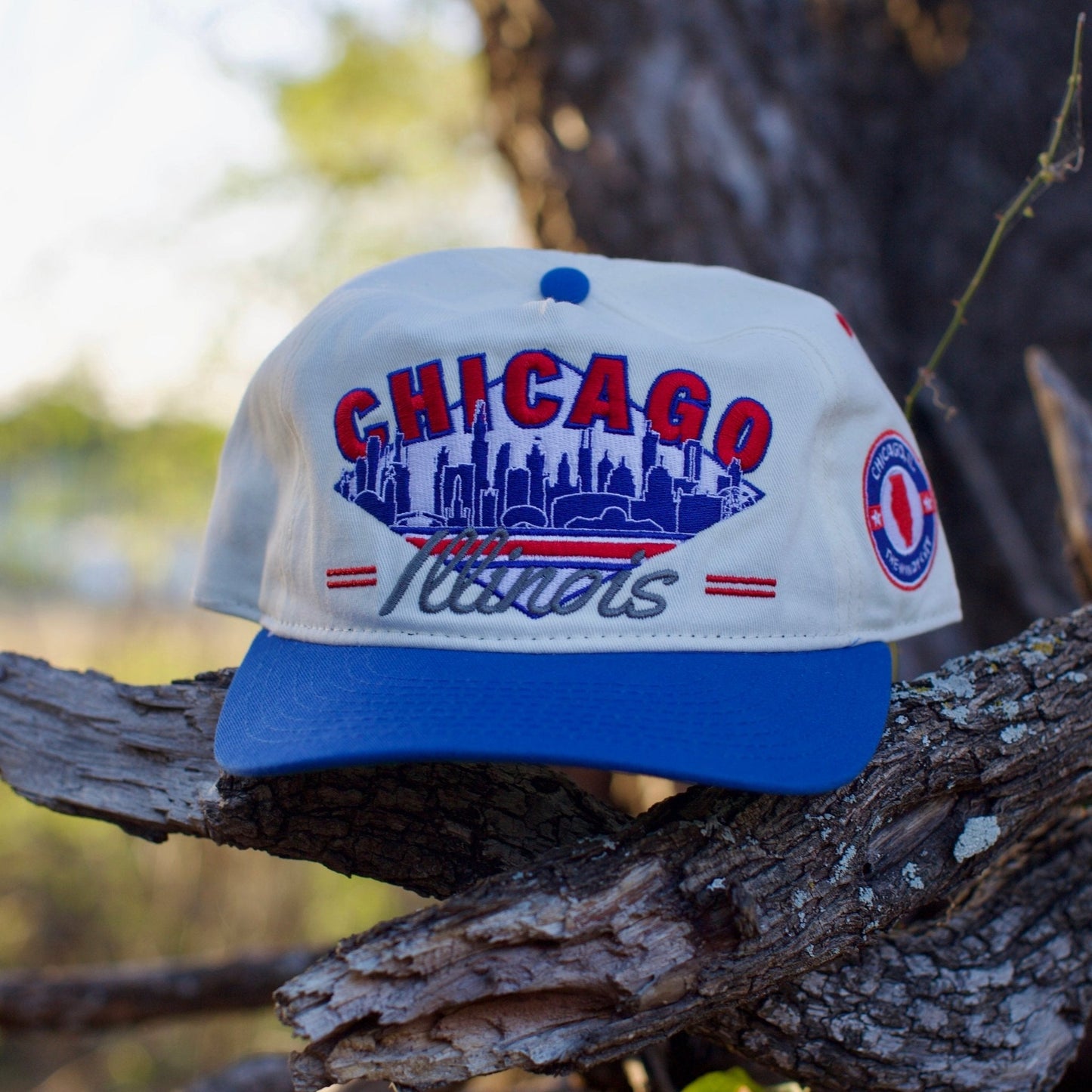 Chicago Snapback - The Wrigley