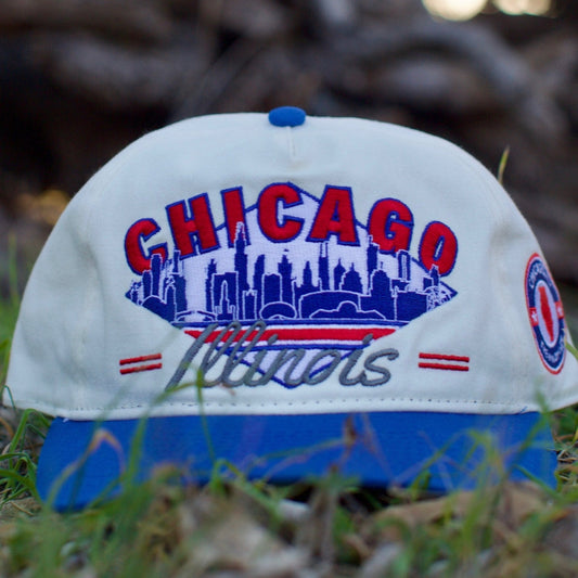 Chicago Snapback - The Wrigley