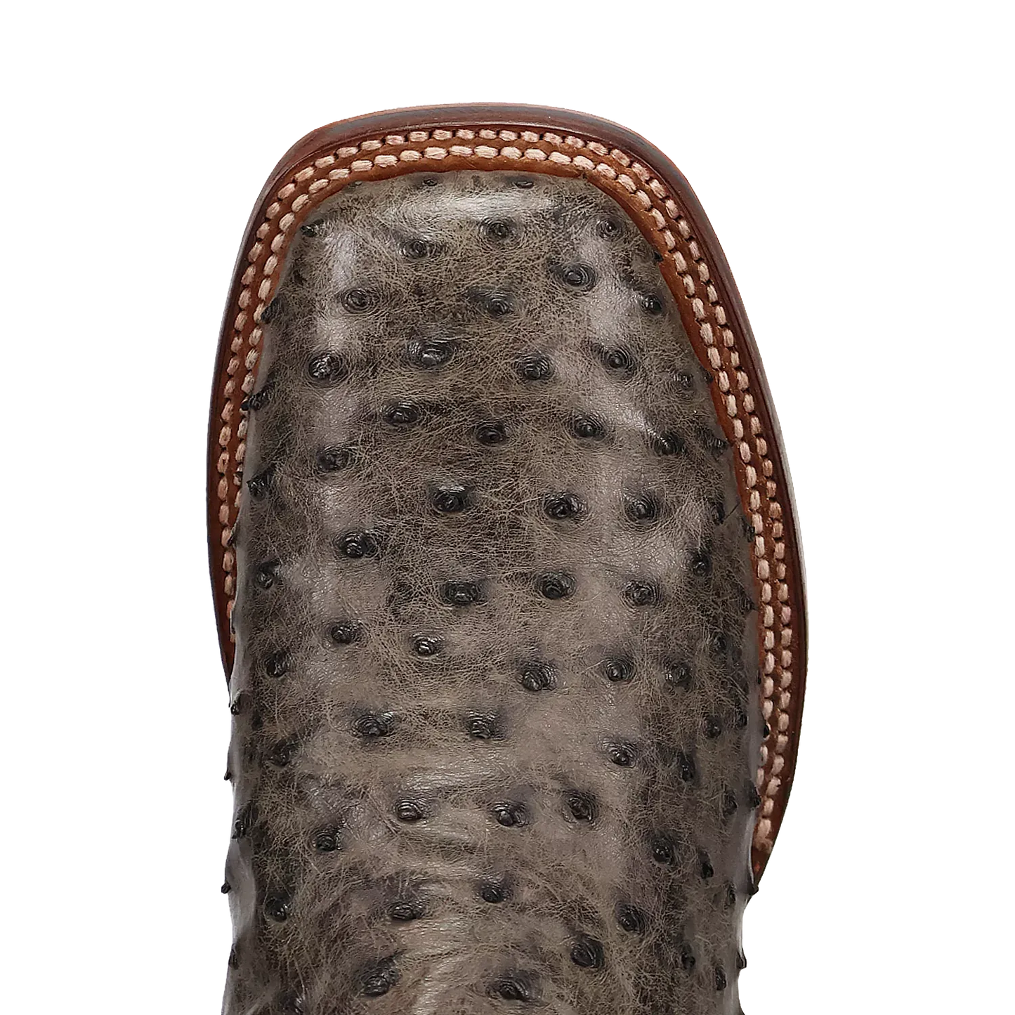 Dan Post Alamosa (Grey/Black)  - Men's Ostrich Skin Leather Cowboy Boots