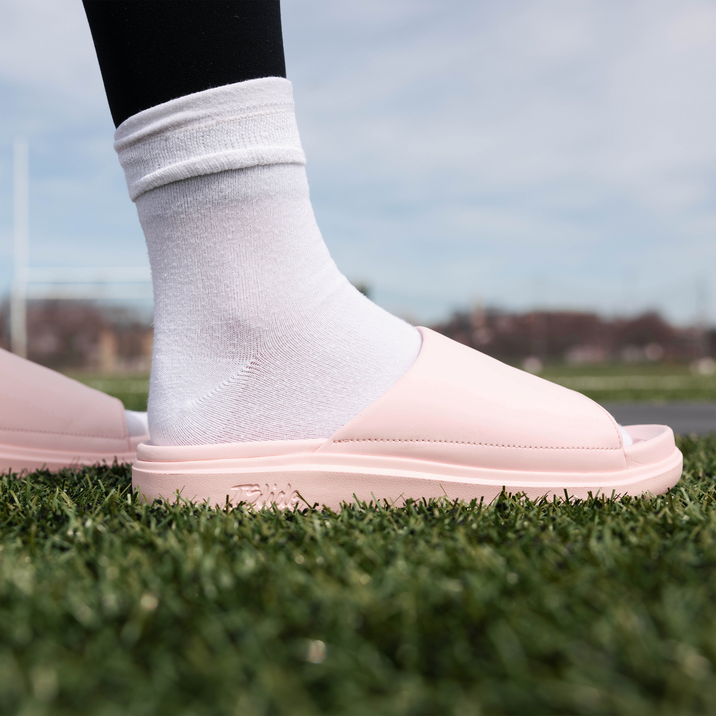 Outer Banks North Carolina Outline Motive