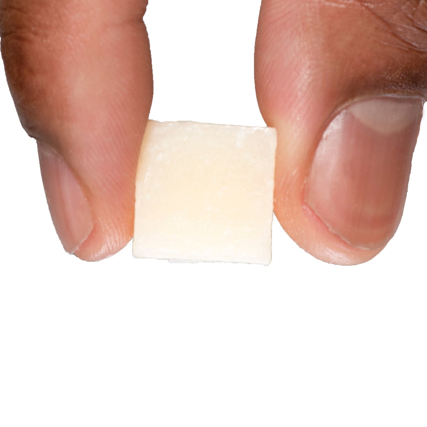 Skipjack Catfish Bait